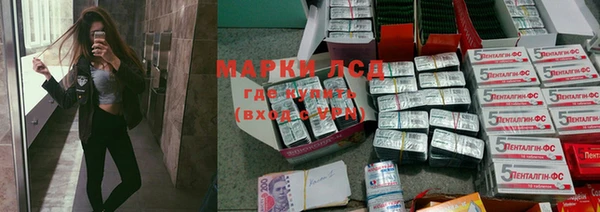 mdpv Богородицк