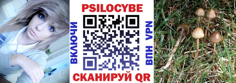 Галлюциногенные грибы мицелий  Севастополь 